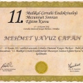 Resmi büyüt: certificate 29