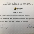 Resmi büyüt: certificate 9