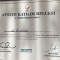 Resmi büyüt: certificate 17