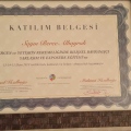 Resmi büyüt: certificate 3