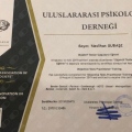 Resmi büyüt: certificate 2