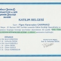 Resmi büyüt: certificate 24