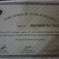 Resmi büyüt: certificate 3