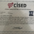 Resmi büyüt: certificate 22