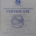 Resmi büyüt: certificate 8