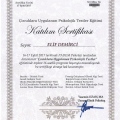 Resmi büyüt: certificate 12