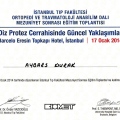 Resmi büyüt: certificate 6
