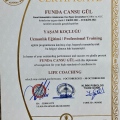 Resmi büyüt: certificate 11