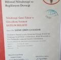 Resmi büyüt: certificate 6