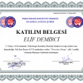 Resmi büyüt: certificate 20