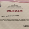Resmi büyüt: certificate 9