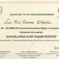 Resmi büyüt: certificate 7