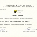 Resmi büyüt: certificate 8