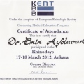Resmi büyüt: certificate 2