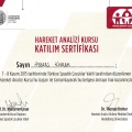 Resmi büyüt: certificate 11