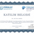 Resmi büyüt: certificate 2