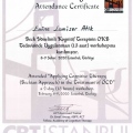Resmi büyüt: certificate 9