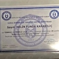 Resmi büyüt: certificate 15