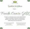 Resmi büyüt: certificate 8