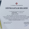 Resmi büyüt: certificate 3