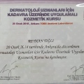 Resmi büyüt: certificate 1