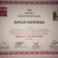 Resmi büyüt: certificate 6