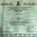 Resmi büyüt: certificate 8