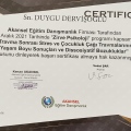 Resmi büyüt: certificate 31