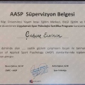 Resmi büyüt: certificate 3