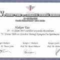 Resmi büyüt: certificate 30
