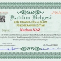 Resmi büyüt: certificate 10