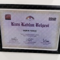 Resmi büyüt: certificate 4