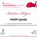 Resmi büyüt: certificate 3