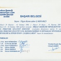 Resmi büyüt: certificate 22