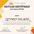 Resmi büyüt: certificate 7