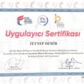 Resmi büyüt: certificate 2