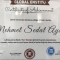 Resmi büyüt: certificate 1