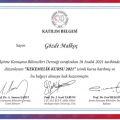 Resmi büyüt: certificate 14