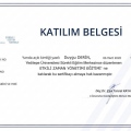 Resmi büyüt: certificate 21
