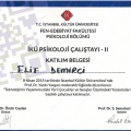 Resmi büyüt: certificate 32