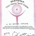 Resmi büyüt: certificate 15