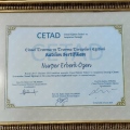 Resmi büyüt: certificate 6