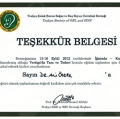 Resmi büyüt: certificate 16