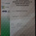 Resmi büyüt: certificate 1