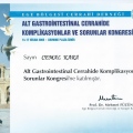 Resmi büyüt: certificate 1