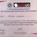 Resmi büyüt: certificate 12