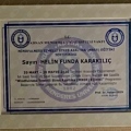 Resmi büyüt: certificate 11