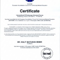 Resmi büyüt: certificate 1