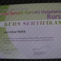 Resmi büyüt: certificate 27