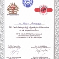 Resmi büyüt: certificate 6
